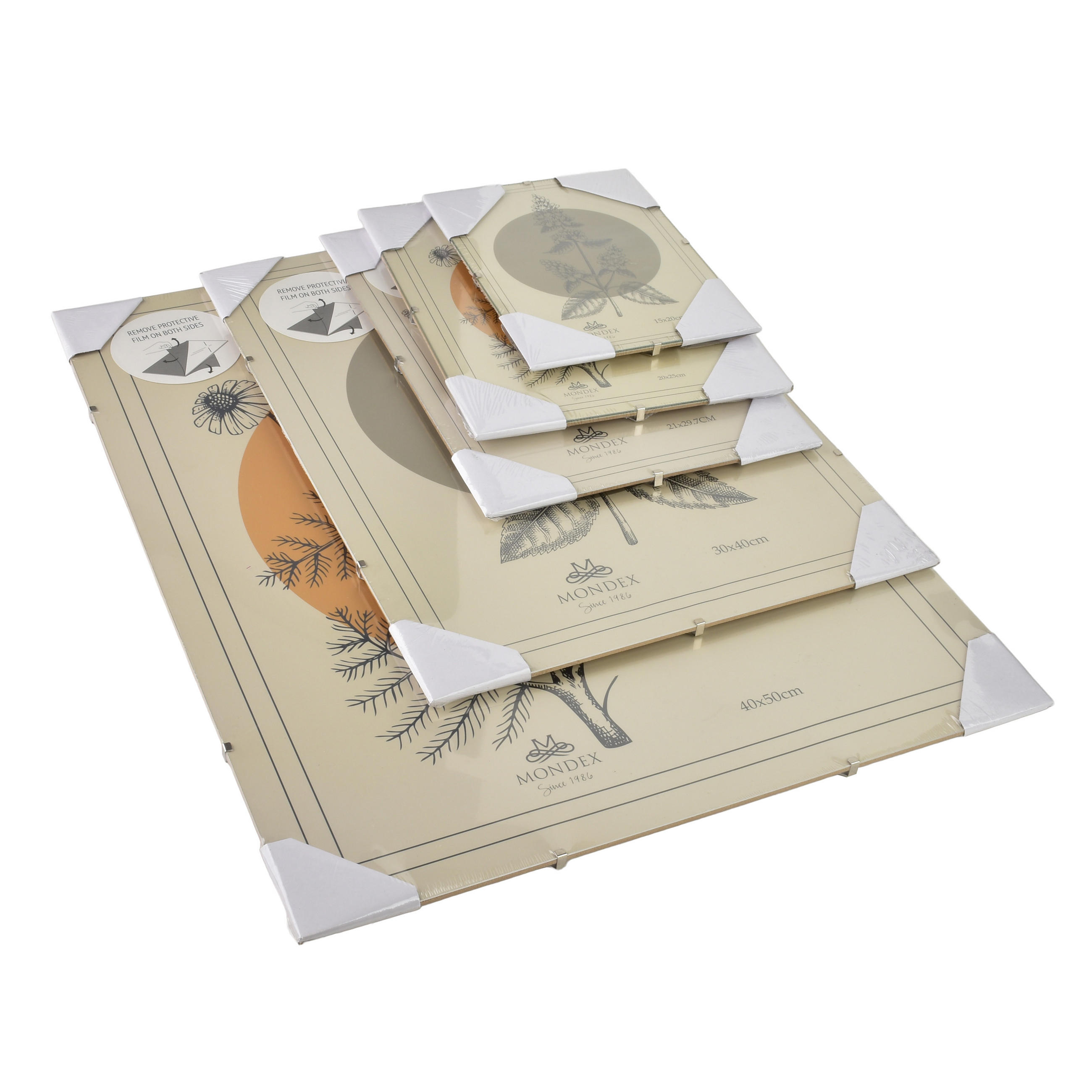 BILDERRAHMEN Adi Transparent 40x50x0.3 cm Kunststoff - Transparent, Kunststoff (0.3/50/40cm) - Mondex