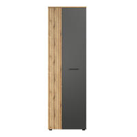 GARDEROBENSCHRANK Esteban Anthrazit - Anthrazit, Holzwerkstoff (60/195/36cm) - Trendteam