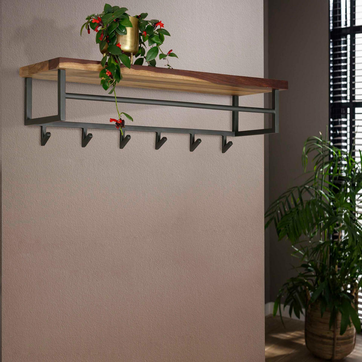 WANDGARDEROBE Daytona Braun 30/100/ 27 cm - Braun, Holz (100/27/30cm) - Hoyz Collection