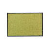 SAUBERLAUFMATTE PROPER TEX - Grün, Textil (40/60cm) - Astra