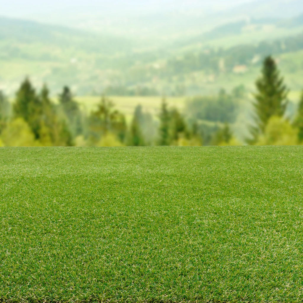 Thumbnail - Steffensmeier Rasenteppich, Grün, Kunststoff, Rechteckig, 100x200 cm, UV-beständig, Gartenzubehör, Terrassen- & Balkonbö...