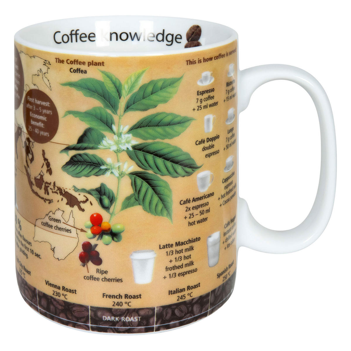 KAFFEEBECHER Knowledge Mug Coffee - Naturfarben, Keramik (0.49L) - Könitz
