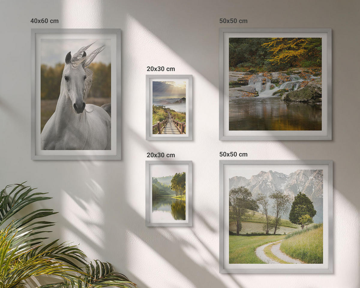 WANDBILDER 5er Set - 50x50 cm & 20x30 cm & 40x60 cm Silberner Rahmen - Natur des Flusses White Horses - Silberfarben, Kunststoff (40/60cm) - ArtPrintCave