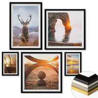WANDBILDER 5er-Set - 50x50 cm & 20x30 cm & 40x60 cm Schwarzer Rahmen - Blätter des Weißen Tigerwasserfalls - Schwarz, Kunststoff (40/60cm) - ArtPrintCave