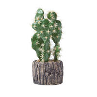 KUNSTPFLANZE Kaktus im Holzoptik-Topf, 26 cm - Grün, Kunststoff (26cm) - Homescapes