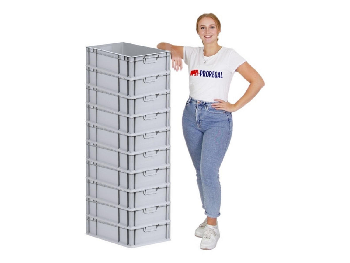 EUROBOX Nextgen Economy Griffe Geschlossen 17x40x60cm 34 Liter - Grau, Kunststoff (40/17/60cm) - PROREGAL