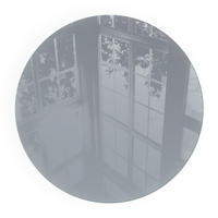 GLASPLATTE für Kamin Ø 80 cm - Grau, Glas (80/80/0.4cm) - TULUP