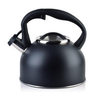 WASSERKESSEL 2,5L Gab - Schwarz, Metall (19.5cm) - Mondex