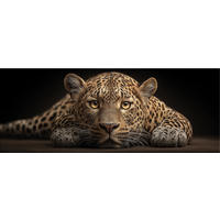 GLASBILD 80x30 cm Leopard Raubkatze - Beige, Glas (80/30cm) - artissimo