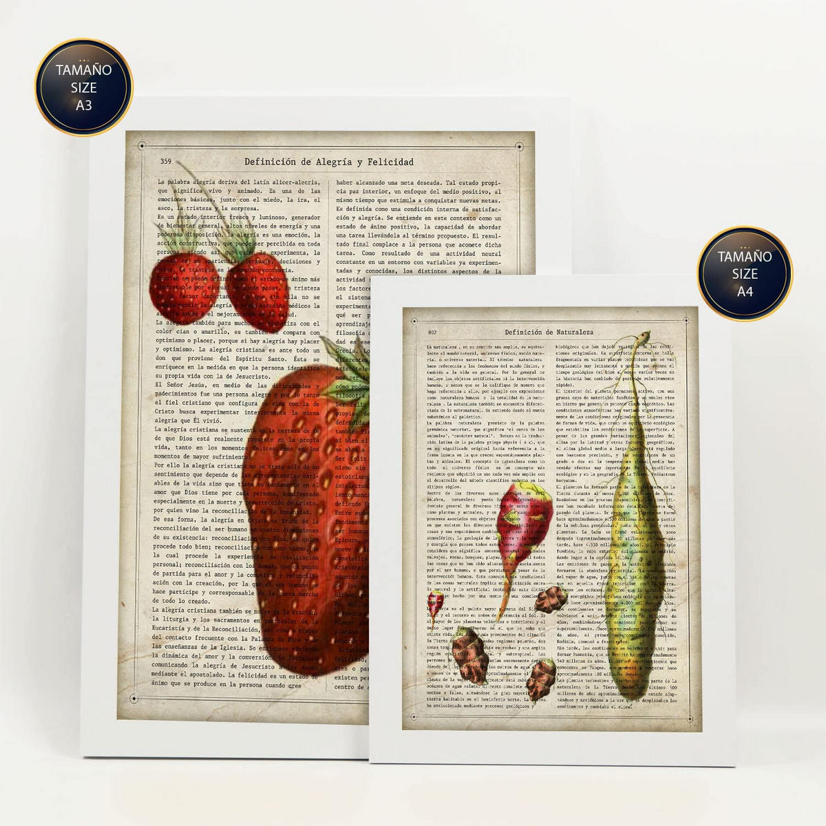 POSTER Set Mit 6 Ästhetische Küche Größe A3 & A4 Weißer Rahmen - Weiß, Papier (29.7/1cm) - Nacnic