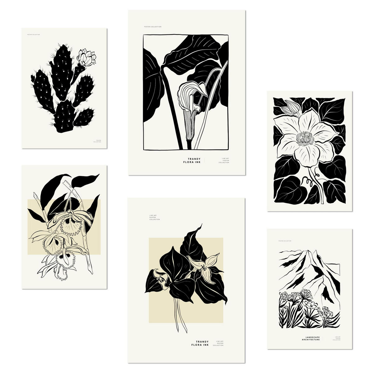 POSTER Set Mit 6 B & W Blumen 2 A3 & A4 Rahmenlos - Klar, Papier (29/3cm) - Nacnic