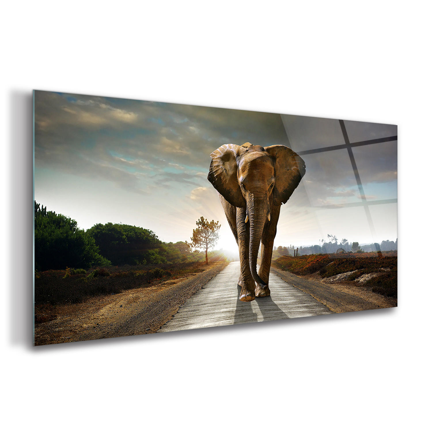 GLASBILD 120x60 cm Safari-Sonnenuntergang - Mokka, Glas (120/60cm) - TULUP
