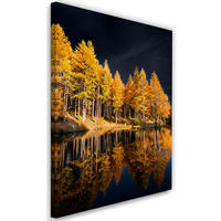 WANDBILD goldene waldseelandschaft - Gelb, Textil (40/60cm) - Feeby