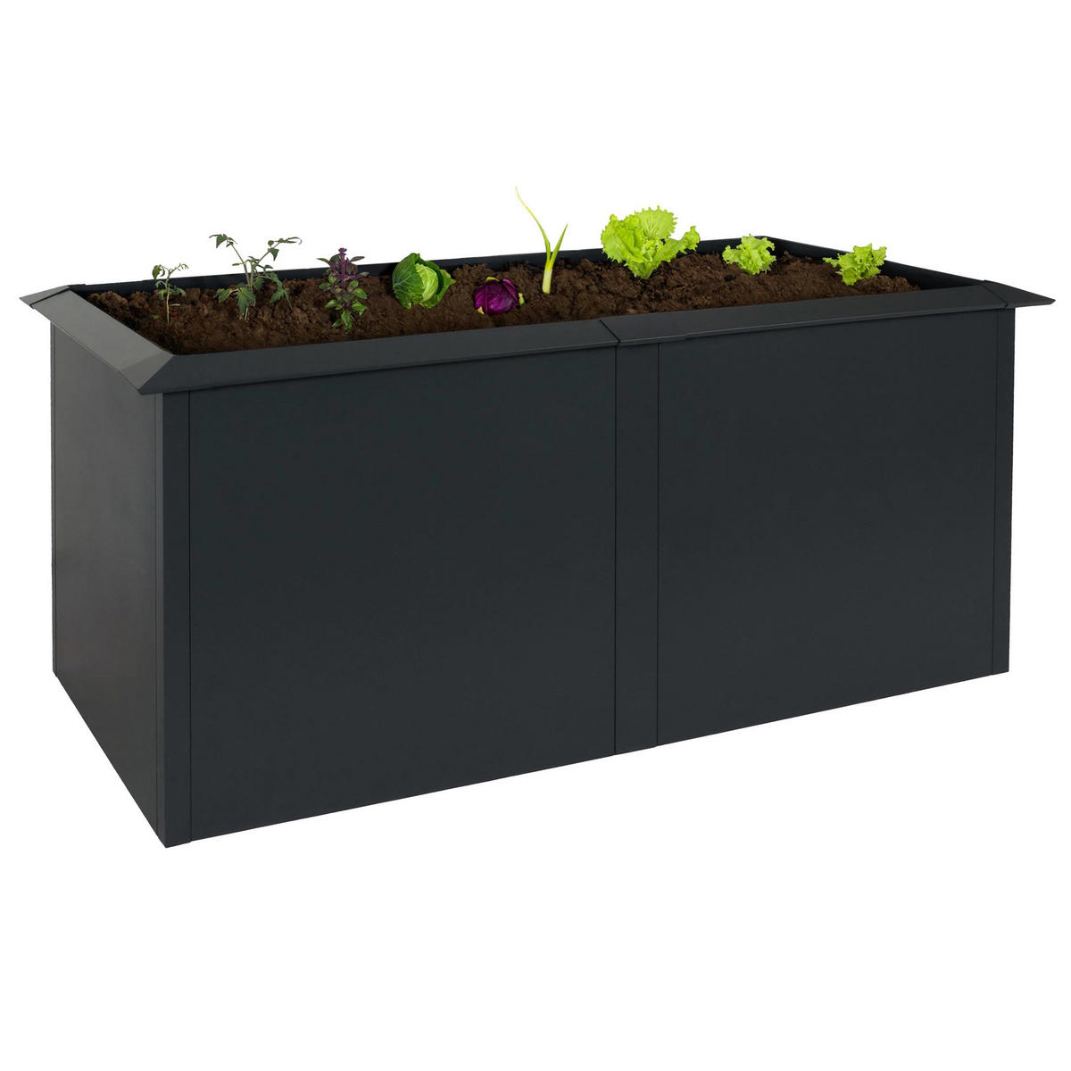 HOCHBEET Schneckenkante 78x170x90cm Anthrazit - Anthrazit, Metall (170/78/90cm) - PROREGAL