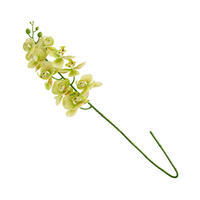 BLUME Orchstem - Hellgrün, Kunststoff (6cm) - home&you