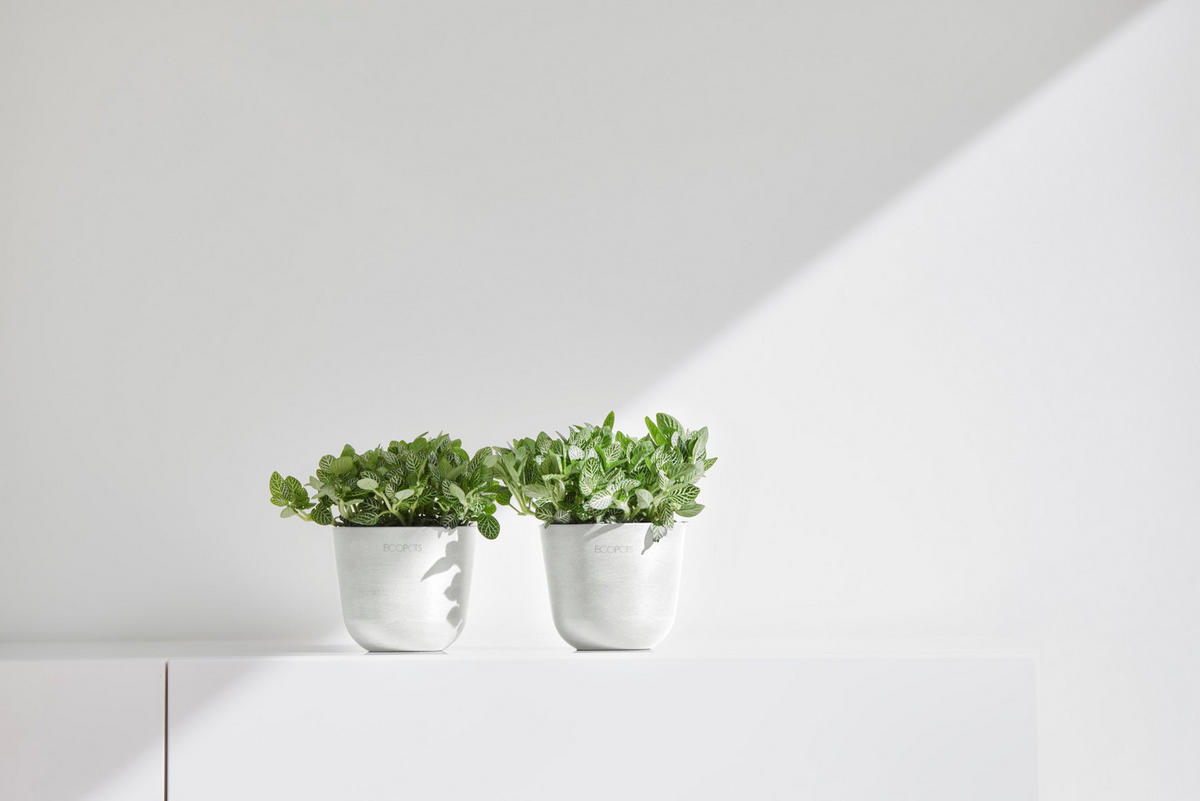 BLUMENTOPF Oslo Mini 11,4/9,5 cm Weiß - Weiß, Kunststoff (11.4/9.5cm) - Ecopots