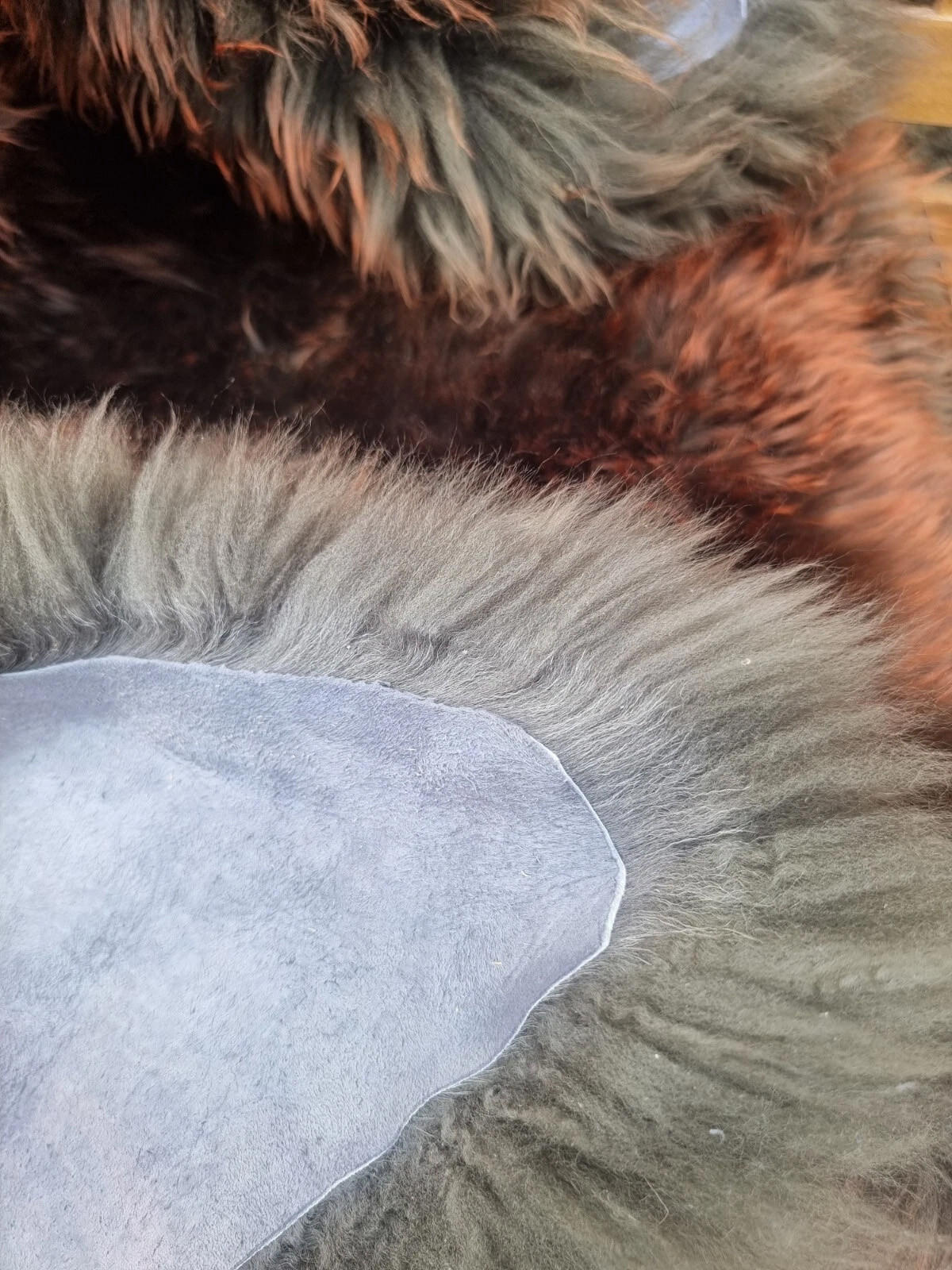 SCHAFFELL Premium Lammfell Natur ungeschoren weiche Wolle Lava dyed ca. 115 cm - Rotbraun, Fell (65/115cm) - Provellus