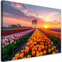 LEINWANDBILD Tulpen Blumen Wiese Aussicht 90x60cm - Multicolor, Textil (90/60cm) - Feeby