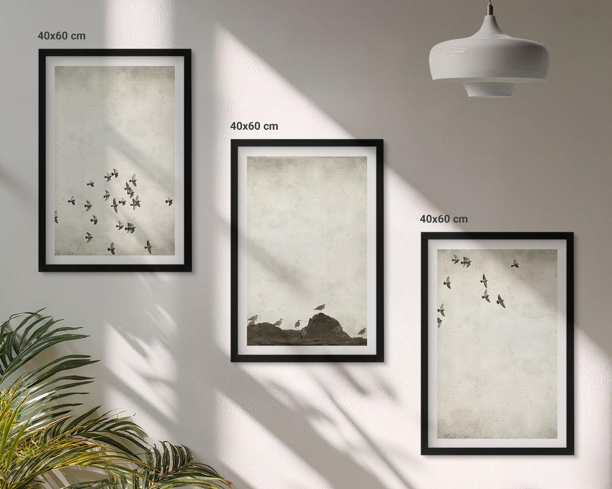 WANDBILDER 3er-Set - 40x60 cm Schwarzer Rahmen - Vögel im Flug, minimalistischer Stil - Schwarz, Kunststoff (40/60cm) - ArtPrintCave