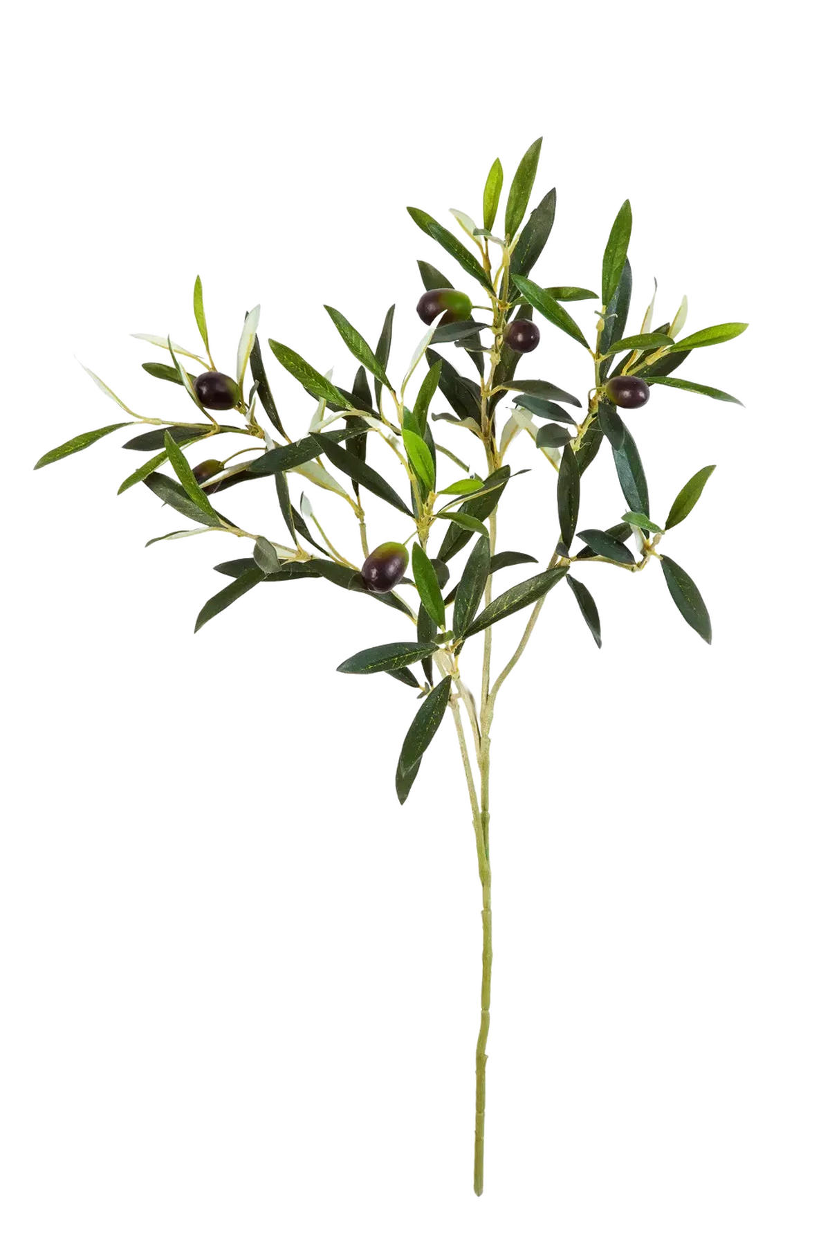 KUNSTPFLANZE Olivenbaum-Zweig - Georgios 50 cm - Multicolor, Kunststoff (50cm) - aplanta