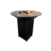 HOLZKOHLEGRILL Feuerschale Schwarz inkl. Schutzhülle - Schwarz, Metall (98/100/98cm) - Purline