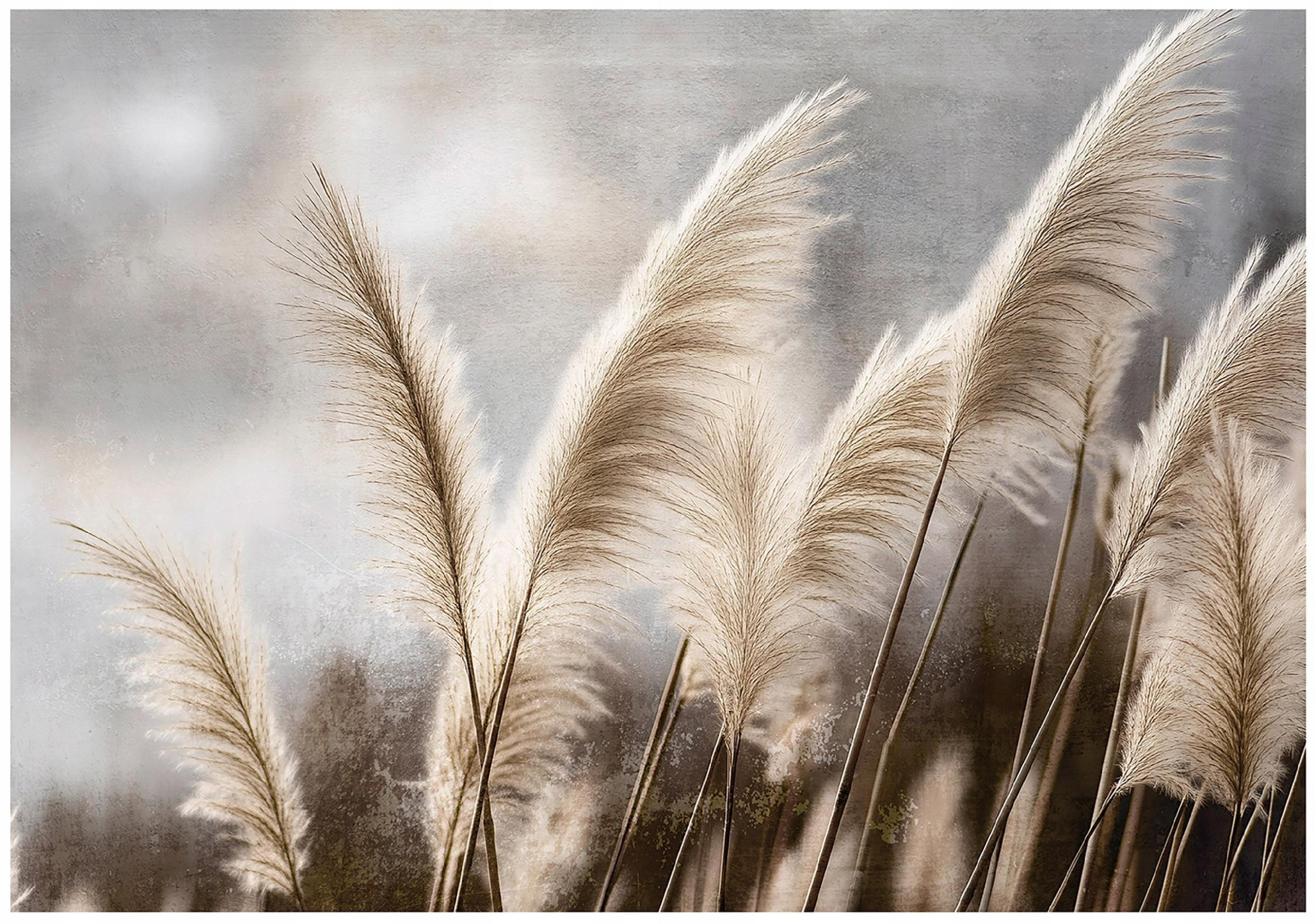 FOTOTAPETE Pampasgras Natur Beige 368x254 cm - Multicolor, Textil (368/254cm) - Wallarena