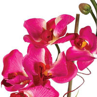 GLASVASE mit künstlichen Blumen in rosa Farbe 18/18/37 cm - Rosa, Glas (37cm) - Atmosphera Createur d´interieur