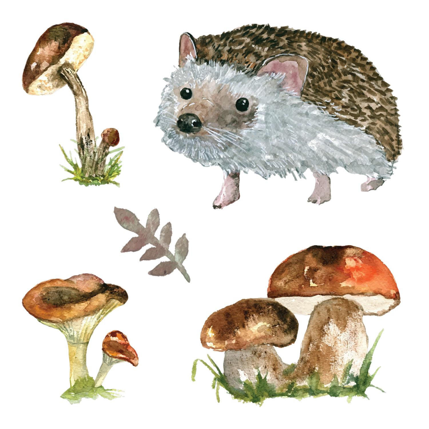 WANDAUFKLEBER 60x93cm - Waldigel - Multicolor, Kunststoff (60/93/0.1cm) - Wallfluent