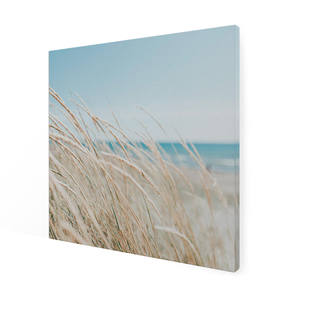 LEINWANDBILD Strand 50x50cm - Blau/Beige, Textil (50/1cm) - Art for the Home