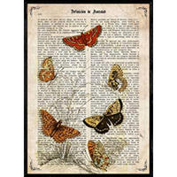 POSTER Schmetterlinge Huschen A4 Rahmenlos - Klar, Papier (29.7/5/21cm) - Nacnic