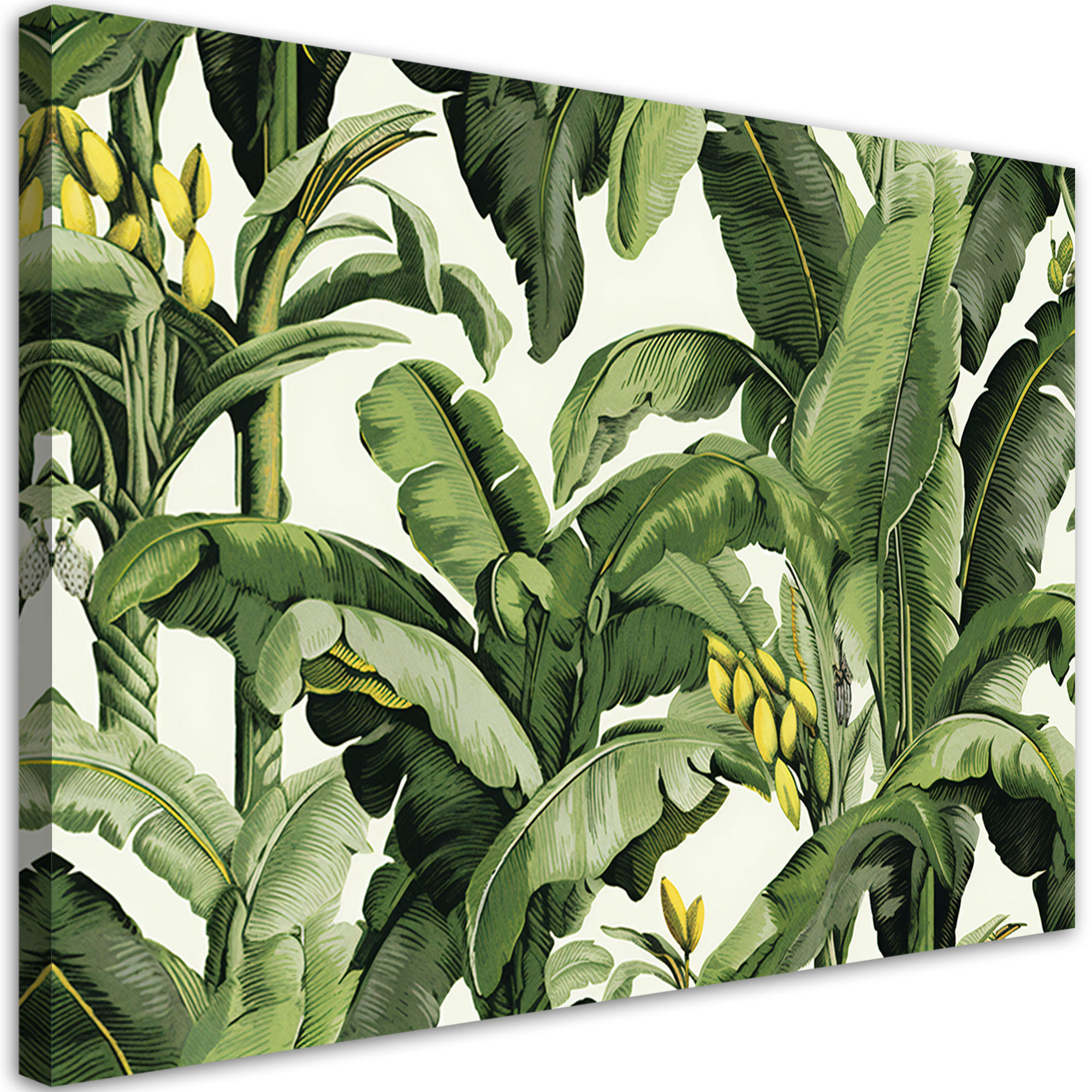 LEINWANDBILD Grüne Bananenblätter 100x70cm - Grün, Textil (100/70cm) - Feeby