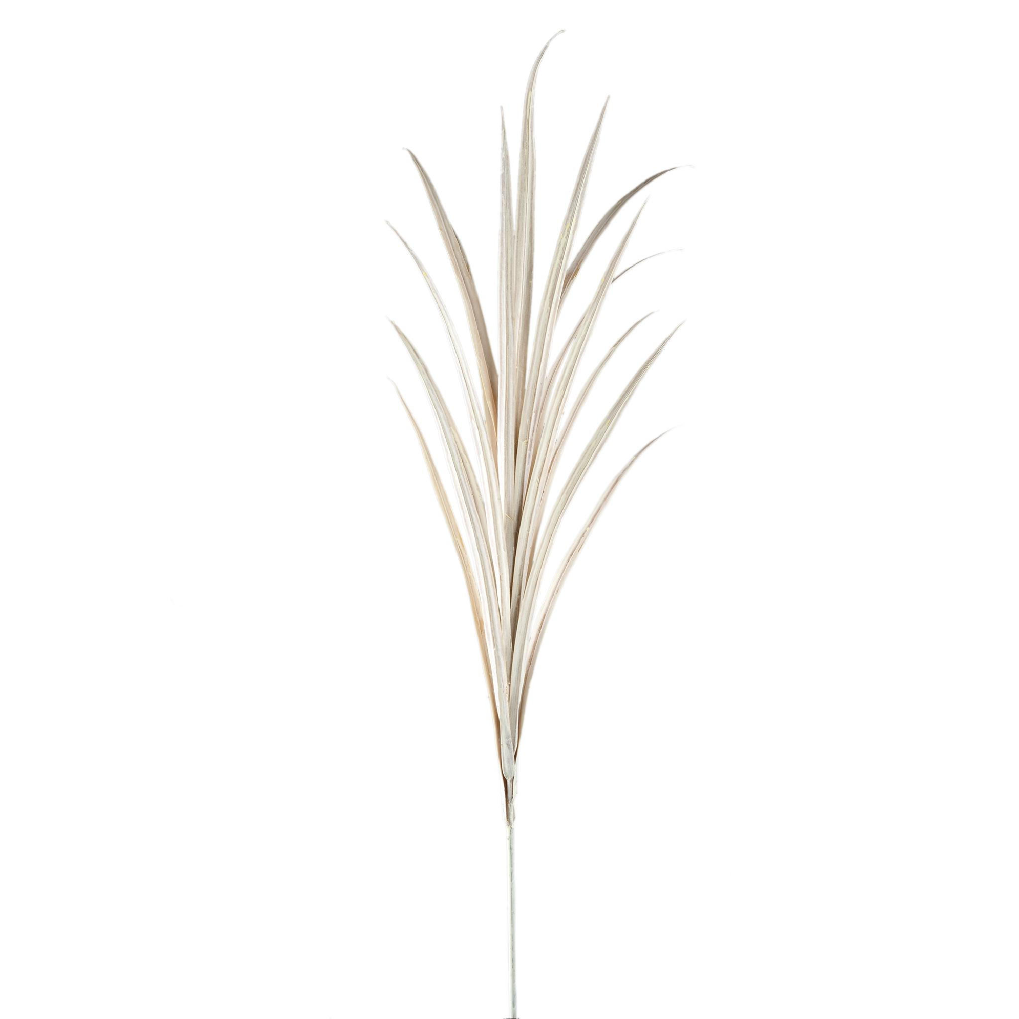 Ptmd Collection Kunstblatt Beige 70x121x76 cm