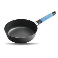 HOCHRANDPFANNE INDUKTION ⌀24cm - BLAU - Blau/Hellblau, Kunststoff/Metall (24cm) - Gastrolux