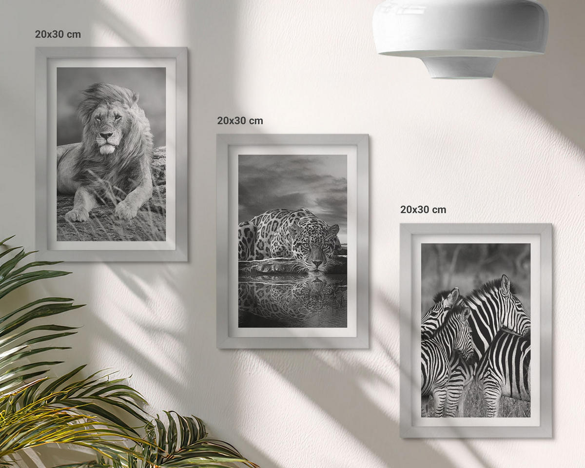 WANDBILDER 3er Set - 20x30 cm Silberner Rahmen - Wildtiere der Savanne - Silberfarben, Kunststoff (20/30cm) - ArtPrintCave
