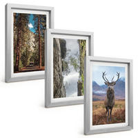 BILDER SET 3er Set - 20x30 cm Silberner Rahmen - Straße Wald Berge Hirsch Natur - Silberfarben, Kunststoff (20/30cm) - TULUP