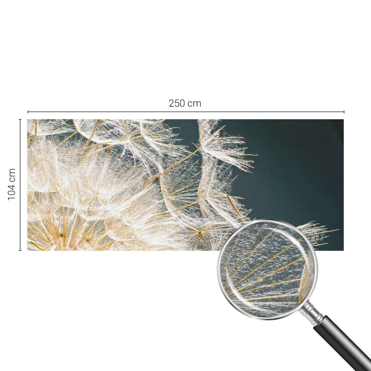 FOTOTAPETE 250x104 cm - Löwenzahn der Leichtigkeit - Weiß, Textil (250/104cm) - Wallfluent