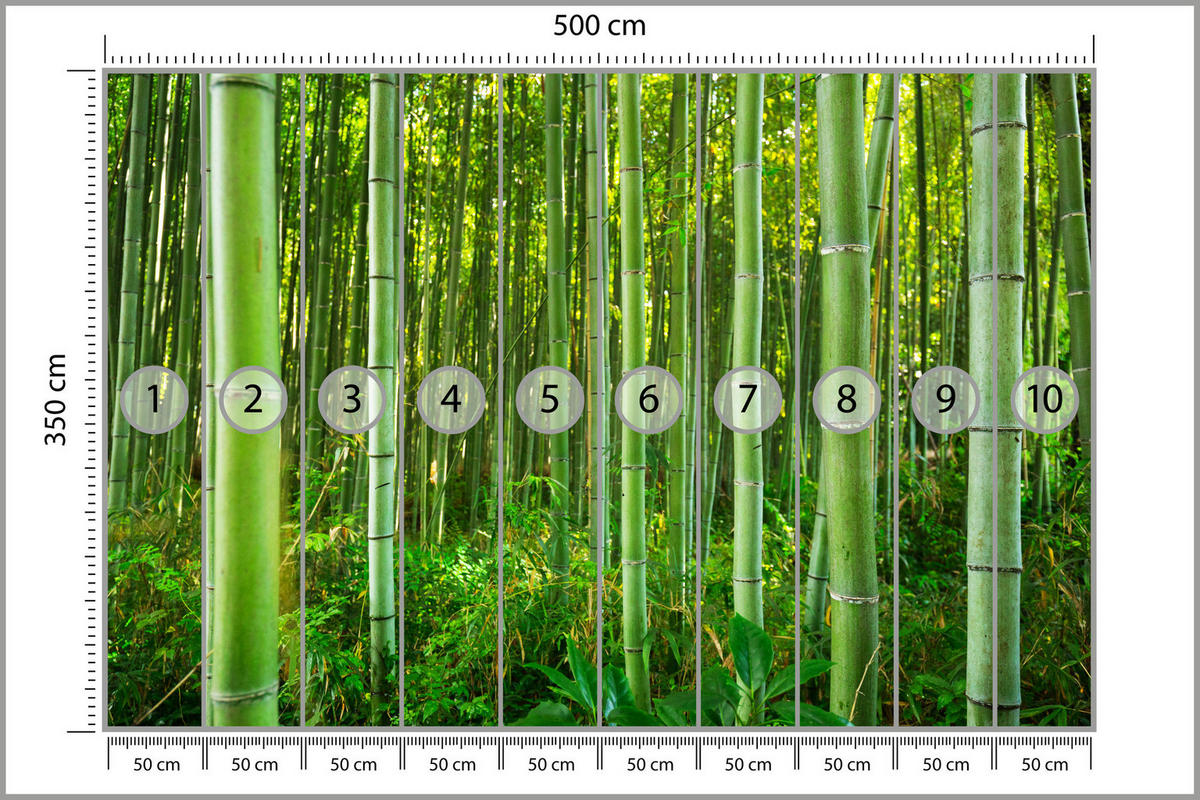 FOTOTAPETE Bambuswald Pflanzen Natur 3D 500x350 - Gelb/Grün, Papier (500/350cm) - Muralo