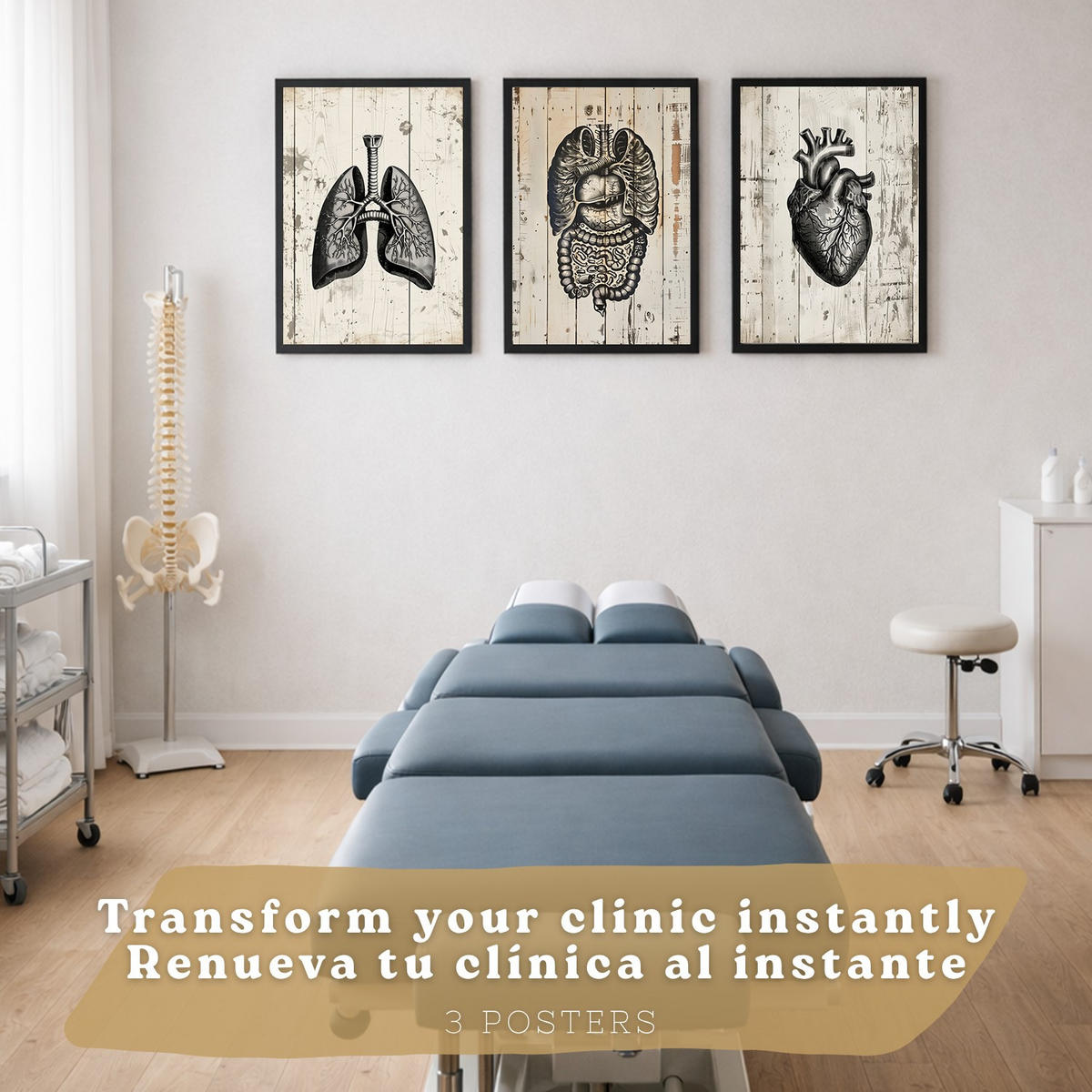 POSTER Set aus 3 Anatomie Mensch Drucke und Wandbilder mit Lungen Darm und Herz Rustikaler Stil Medizinische Wanddekoration Größe Schwarzer Rahmen A4 - Schwarz, Papier (21/29.7/3cm) - Nacnic