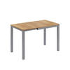 ESSTISCH Granny Eiche/Grau 120 x 70 cm ausziehbar - Graubraun/Grau, Holzwerkstoff (70/120/76cm) - Vicco