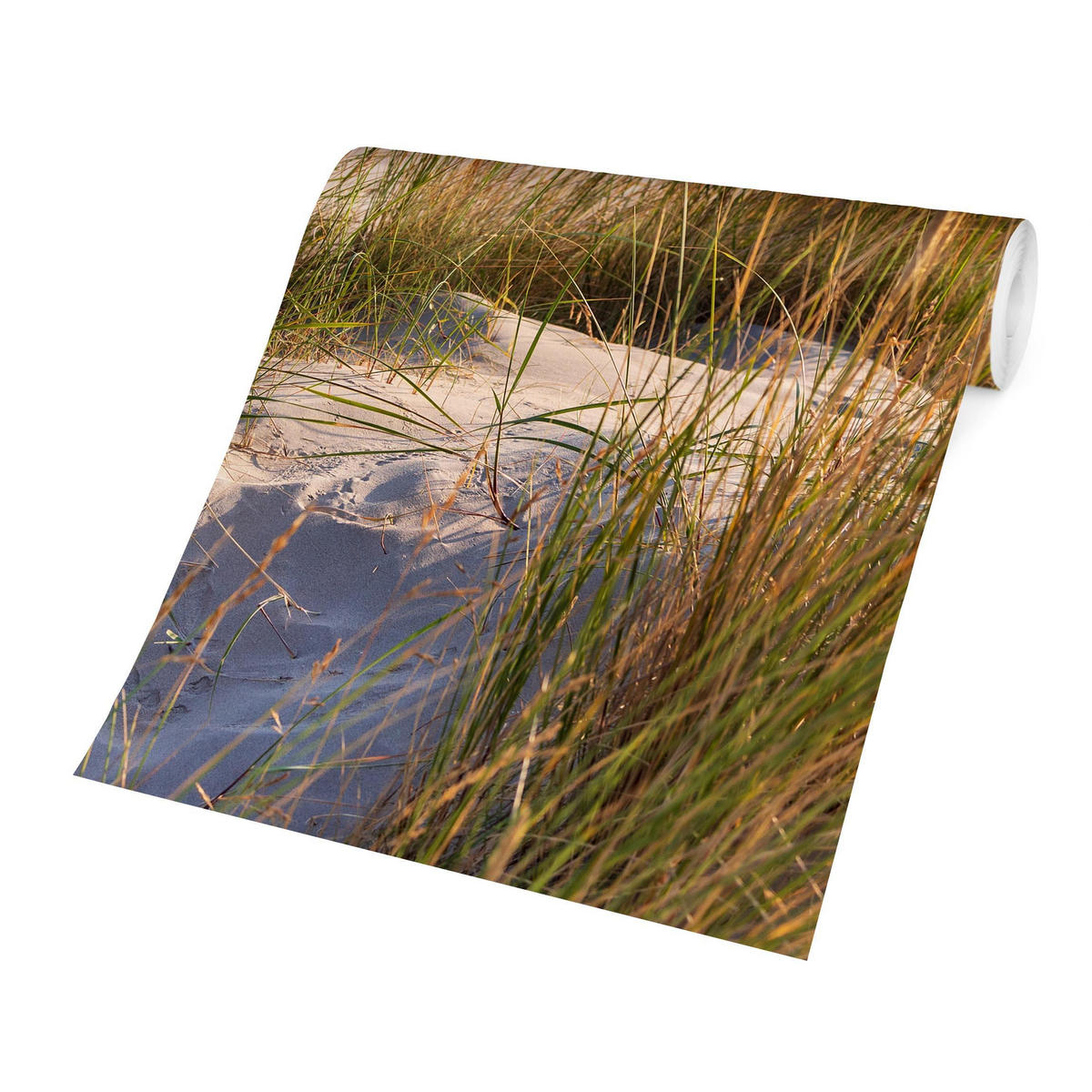 FOTOTAPETE Stranddüne am Meer 288/288 cm - Eichefarben, Papier (288/288cm) - Bilderwelten