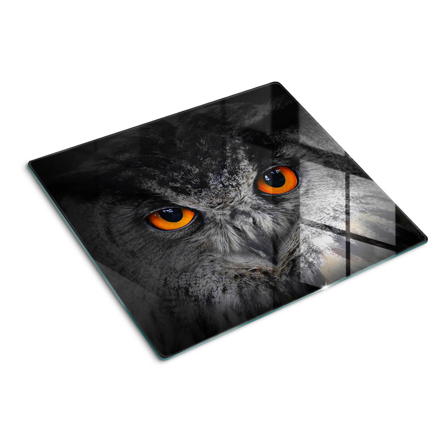 GLASPLATTE 60x52 cm Eule mit Teufelsaugen - Orange, Glas (60/0.4/52cm) - TULUP