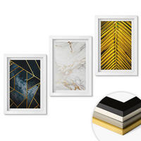 WANDBILDER 3er-Set - 20x30 cm Weißer Rahmen - Geometrische Muster und Vegetation - Weiß, Kunststoff (20/30cm) - ArtPrintCave