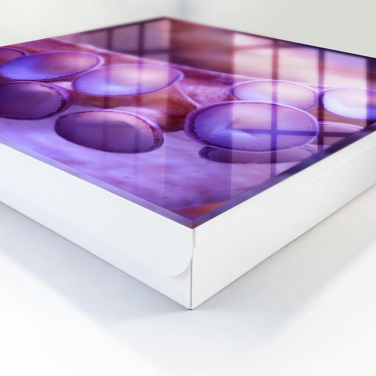 SCHLÜSSELBOX Weiß 30x30 cm – Türöffnung nach rechts - Unterwasserharmonie - Lila, Metall (30/30/5cm) - TULUP