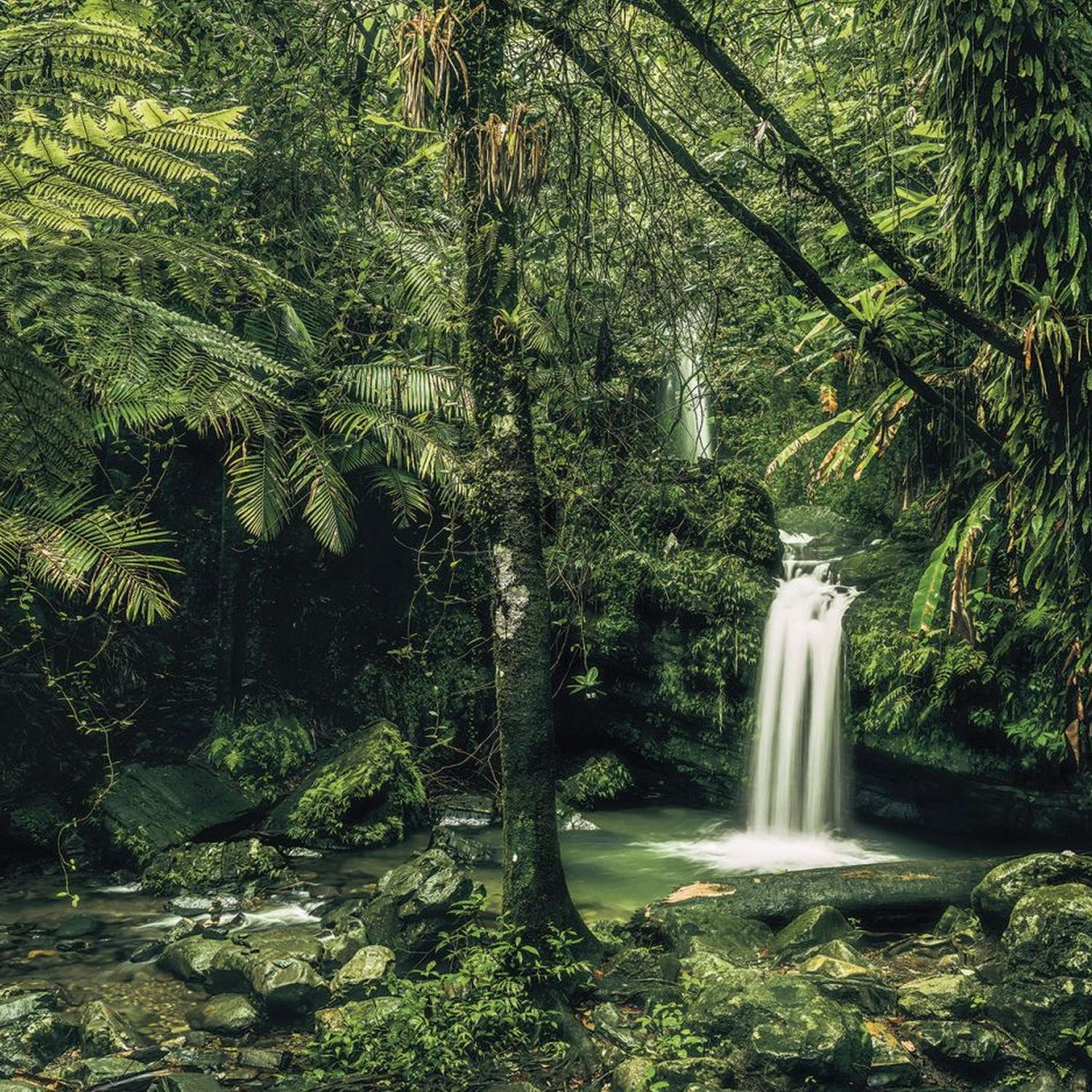 FOTOTAPETE Wasserfall 400 x 250 cm - Grün, Papier (400/250cm) - Sanders & Sanders