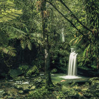 FOTOTAPETE Wasserfall 400 x 250 cm - Grün, Papier (400/250cm) - Sanders & Sanders