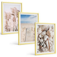 BILDER SET 3er Set - 40x60 cm Goldrahmen - Strandmuscheln Seegras - Goldfarben, Kunststoff (40/60cm) - TULUP