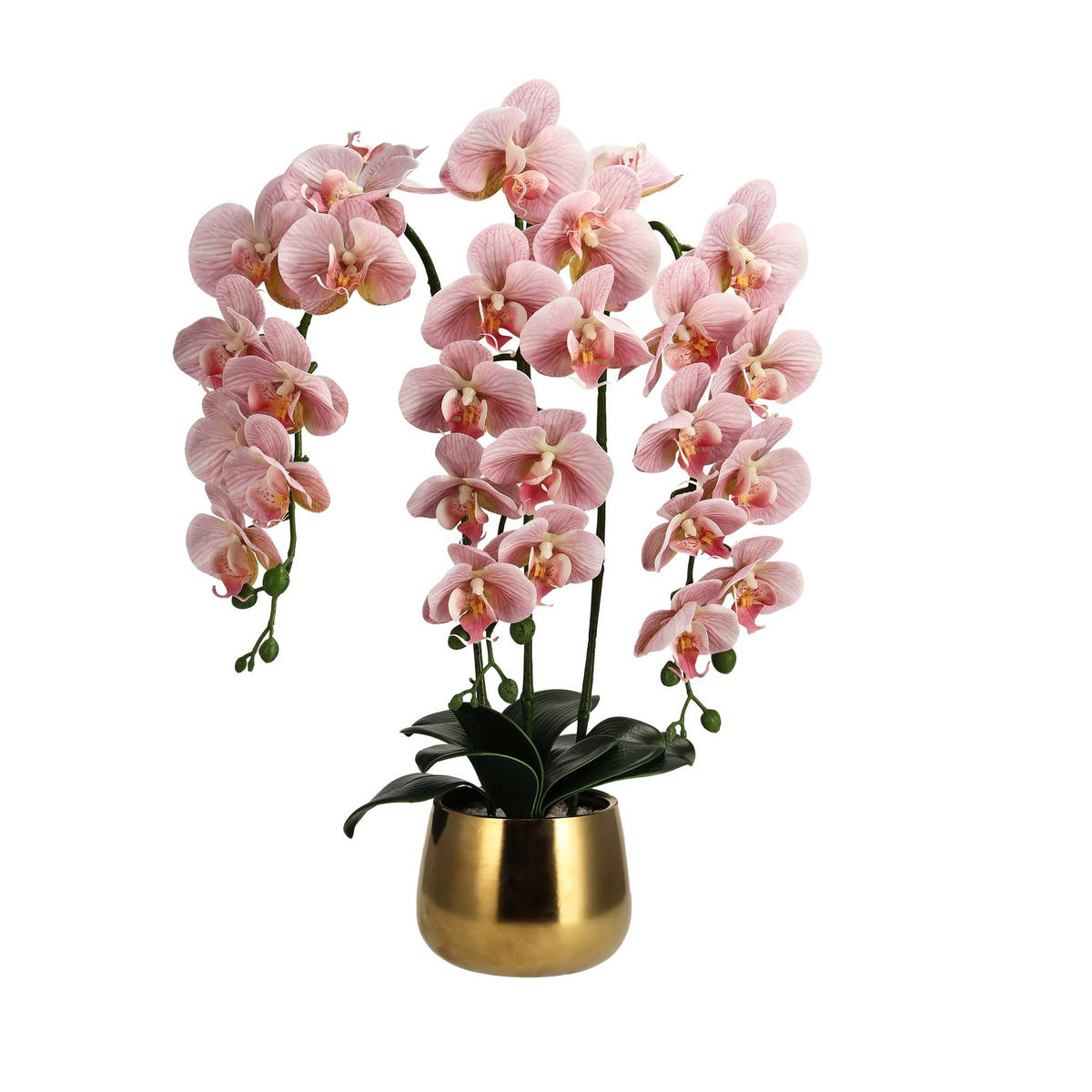 KUNSTBLUMEN Orchidiso - Rosa, Kunststoff (67.31cm) - home&you