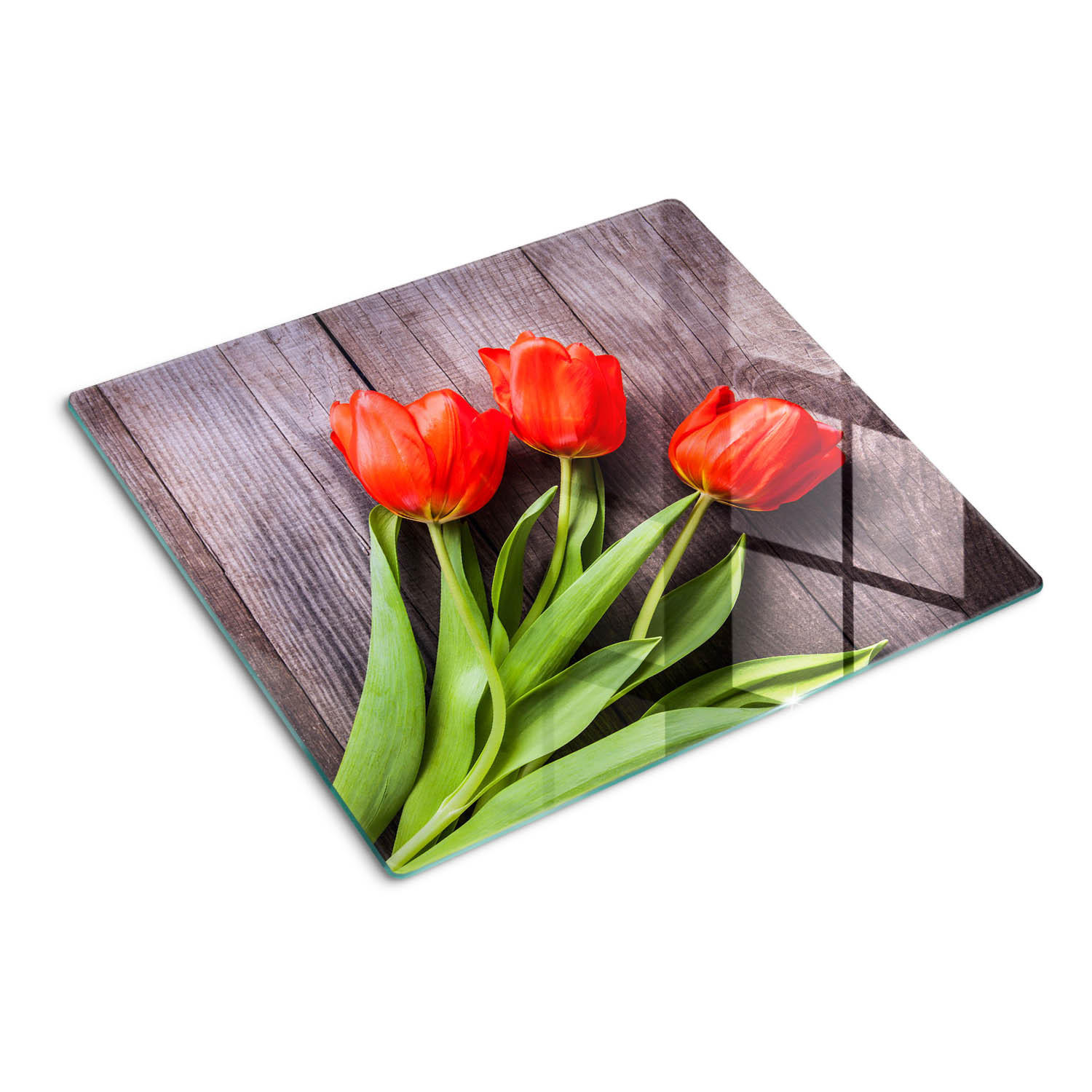 GLASPLATTE 60x52 cm Rote Tulpen - Rot, Glas (60/0.4/52cm) - TULUP