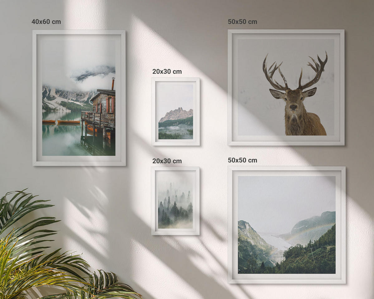 WANDBILDER 5er-Set - 50x50 cm & 20x30 cm & 40x60 cm Weißer Rahmen - Berge, See, Hirsche, Hütte, Nebel - Weiß, Kunststoff (40/60cm) - ArtPrintCave
