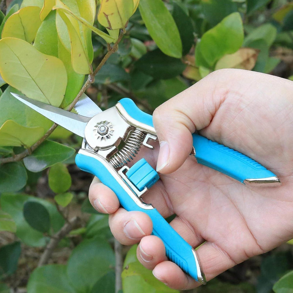 GARTENSCHERE 16,5 cm mit Soft-Touch-Griff Blau - Blau, Metall (6/1.5/16.5cm)